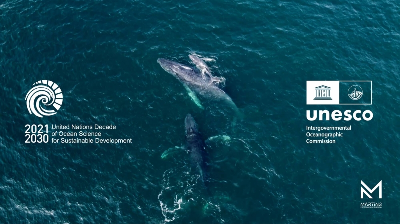 UNESCO | United Nations Decade of Ocean Science